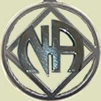 NA Logo/Service Symbol Combo Lapel Pin