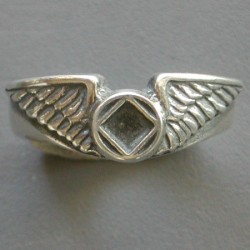 1641 Wing Ring w NA Service Symbol