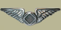 2111L Lapel Pin Wings w/NA Service Symbol