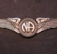 2132 Lapel Pin Large Wings w Narcotics Anonymous Logo NA recovery jewelry