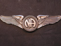 2132 Lapel Pin Large Wings w Narcotics Anonymous Logo NA recovery jewelry
